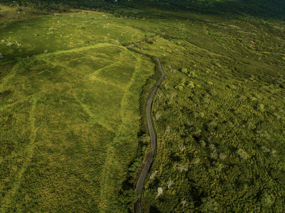 Makaala Farmsteads — Big Island landscape