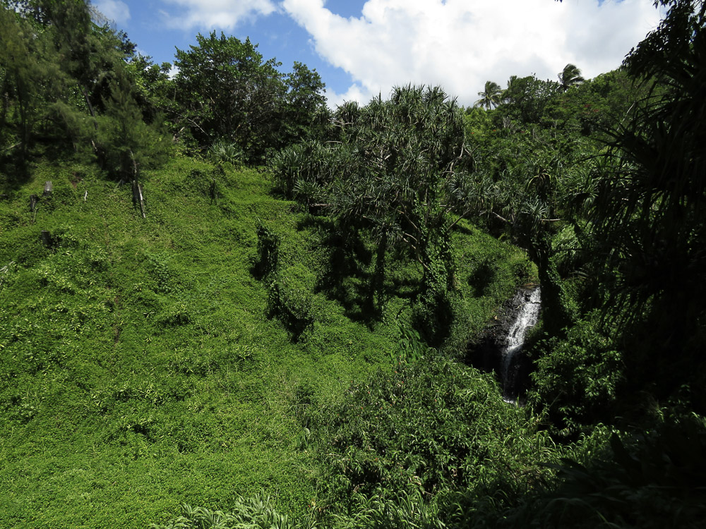 Makaala Farmsteads — lush landscape